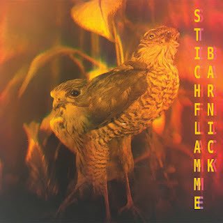 Today’s review has us taking a look at a new album from Stichflamme Barnick brought to us courtesy of <a href="/bleed_air/">bleed Air / superpolar Taïps.</a> 

onthefringesofsound.com/2025/01/stichf…

#electroacoustic #electronic #darkambientdrone #ambient #dark #cassette #musicreview #experimentalmusic #experimental #bandcamp