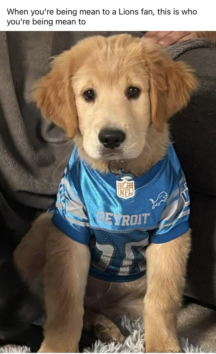 RachelMarieSports tweet media