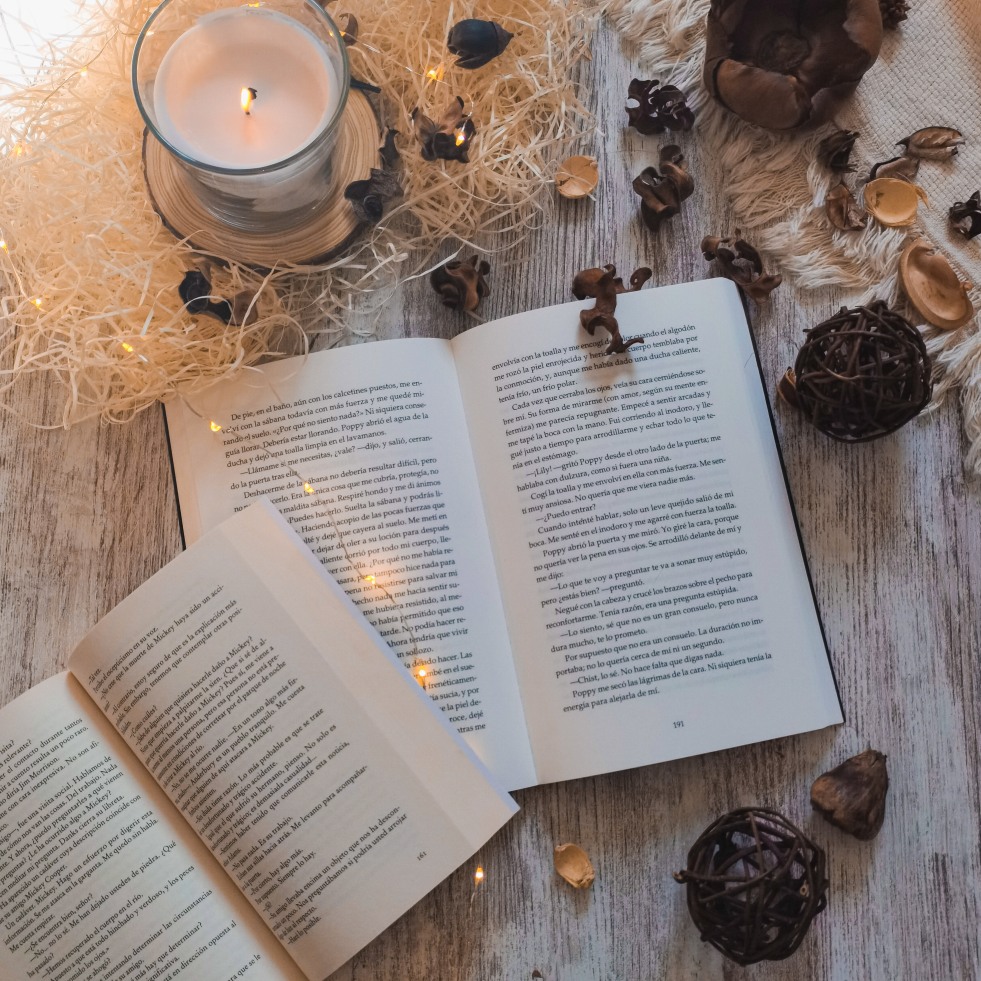 athenxdami's tweet photo. * . °•★|•°∵Libros leídos 2025∵°•|☆•° . *
              ➴✨☾    — a thread. ✨ https://t.co/r81Jld5VhD