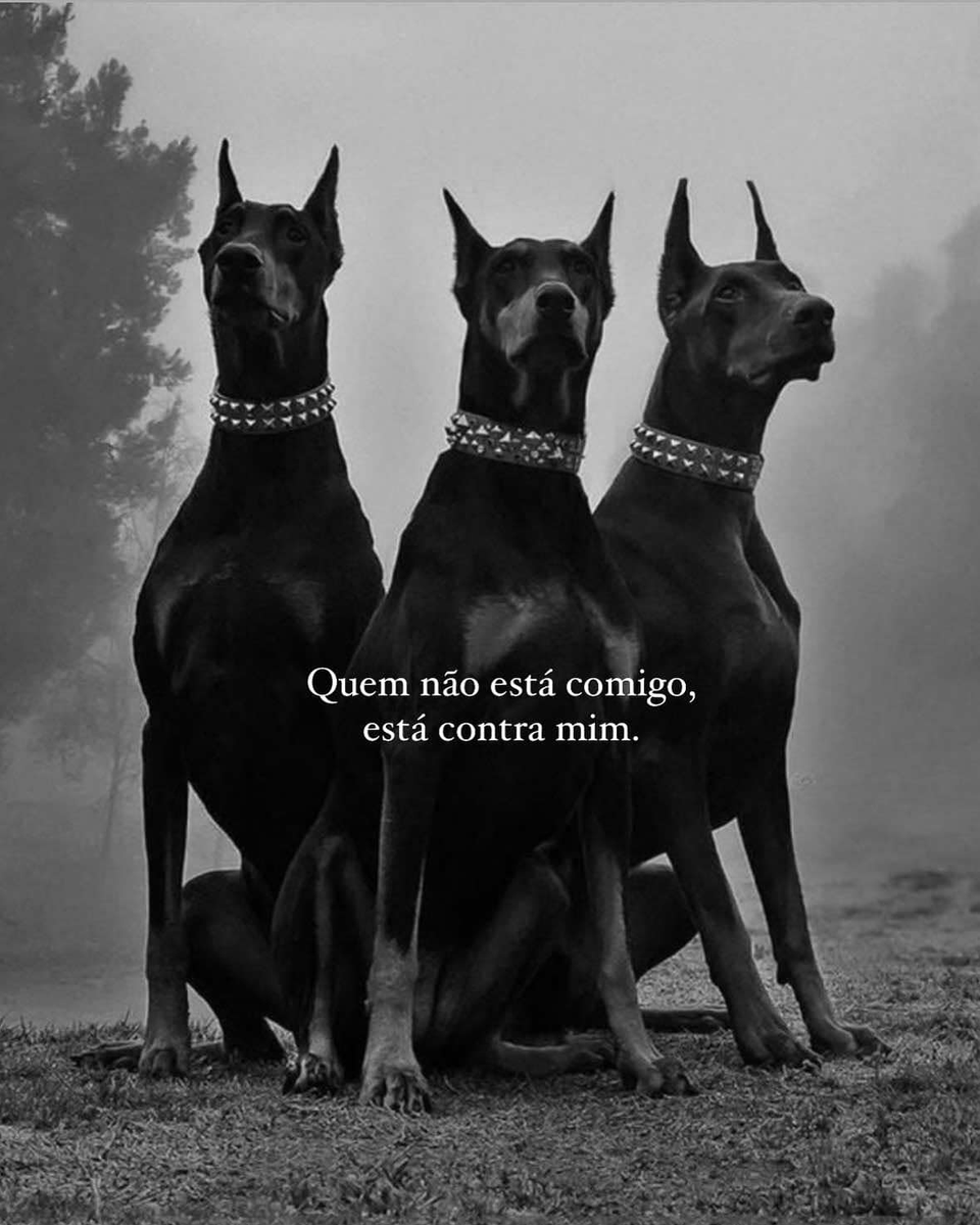 filosofia de poder (@mensagemdepoder) on Twitter photo 