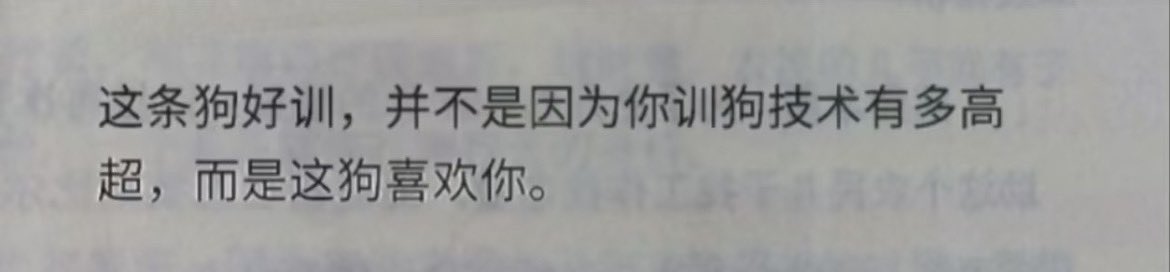 因为狗狗喜欢你🥰