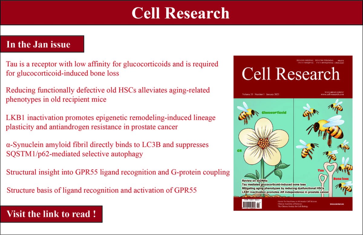 The January issue of Cell Research is now live!

This month’s issue identifies Tau, an infamous player in Alzheimer’s and other neurodegenerative diseases, as a low-affinity receptor for glucocorticoids, driving their side effects such as osteoporosis (GIO).

Discover 5