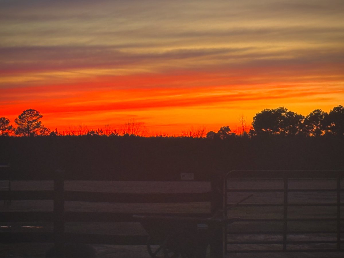 There is just something about a beautiful sunset that makes my heart happy. 

This evening at Southern Legacy. God’s promise for better days and opportunities tomorrow in shades of red, yellow and dusky blue.