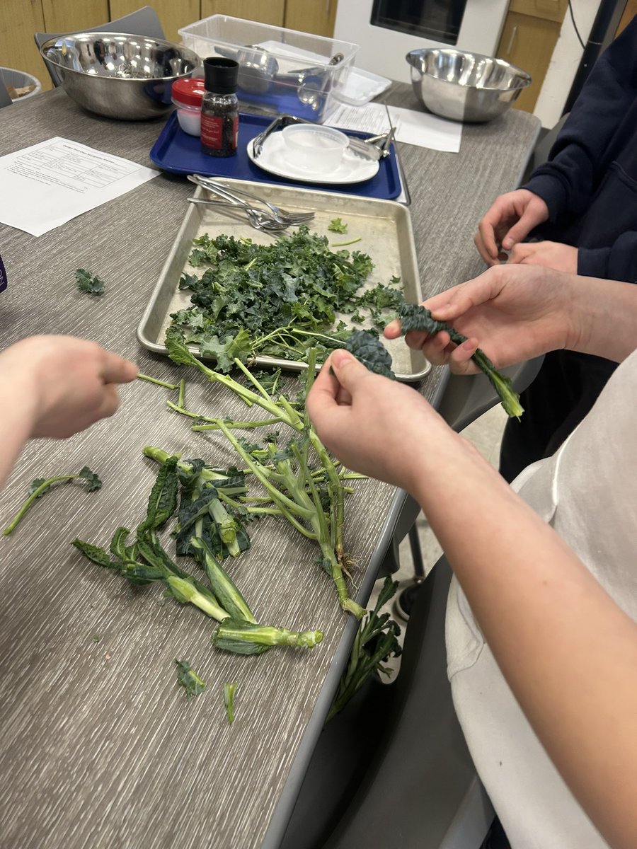 Adam Pease (@drapease) on Twitter photo It’s harvest day in <a href="/_taryndelaney/">Taryn Delaney</a>’s Bell FACS class! Fresh grown greens and an amazing homemade vinaigrette. 🥬🥗🌱#WeAreChappaqua <a href="/NYsunworks/">NY Sun Works</a> It’s harvest day in <a href="/_taryndelaney/">Taryn Delaney</a>’s Bell FACS class! Fresh grown greens and an amazing homemade vinaigrette. 🥬🥗🌱#WeAreChappaqua <a href="/NYsunworks/">NY Sun Works</a>
