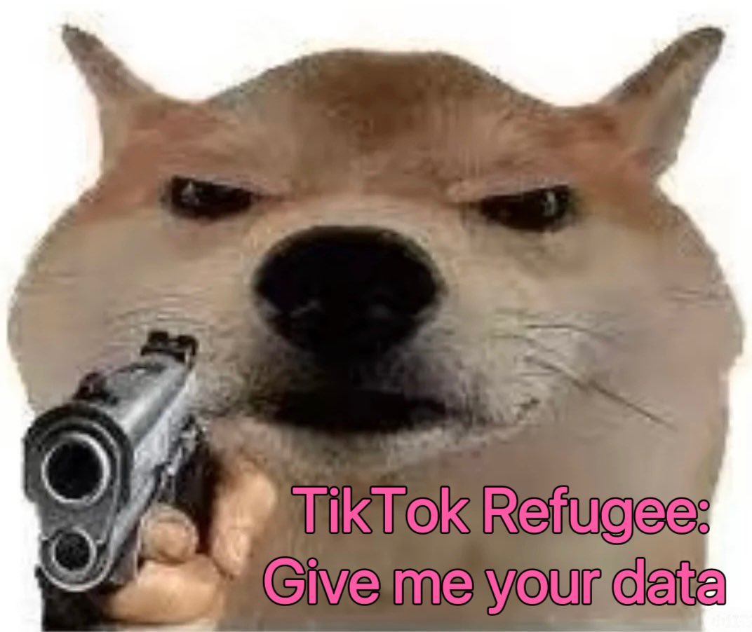 memegmy's tweet photo. @HooverInst @pmarca @uncknowledge Give me your data! ! !

$GMYD

ca: 4rHijsotNbLDLLaLXdvNoJ58Kwz4K6oKXUM8kgV3pump

The American people will never give up freedom of speech.

#tiktokrefugees #RedNote https://t.co/qW3sz1CedK