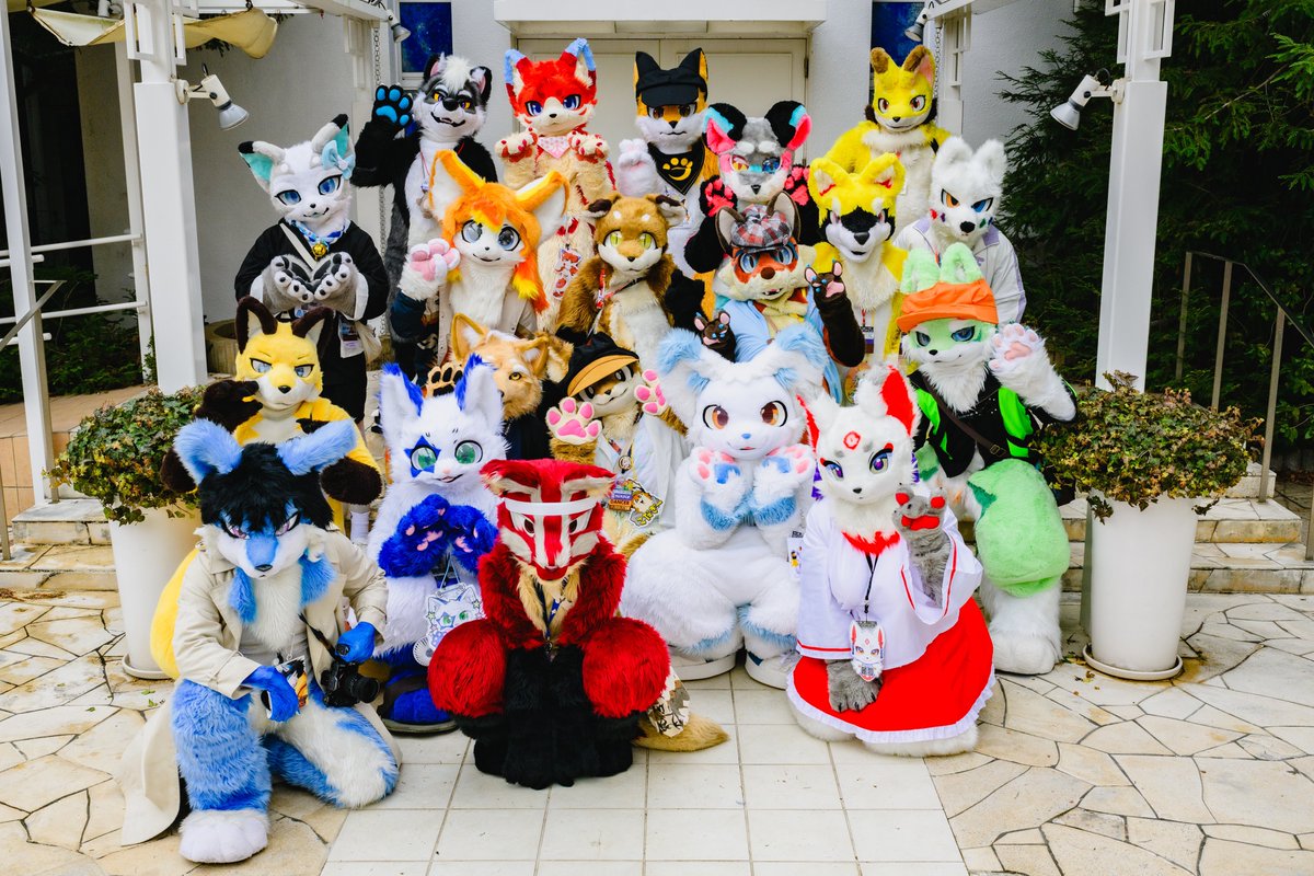 KemoTanuki's tweet photo. JMoF2025  たぬき・きつね合わせ開催しました！

ご参加頂いた多数のたぬき&amp;きつねキャラの皆様、写真撮影やお手伝い頂いた多くの皆様…今回も本当にありがとうございました！！

次回も開催出来るよう頑張ります！！！
その際もぜひぜひよろしくお願いいたしますฅ₍ᐢ⓿ᴥ⓿ᐢ₎ฅฅ^•ﻌ•^ฅ
#JMoF2025 https://t.co/g9Ke9s6lDD