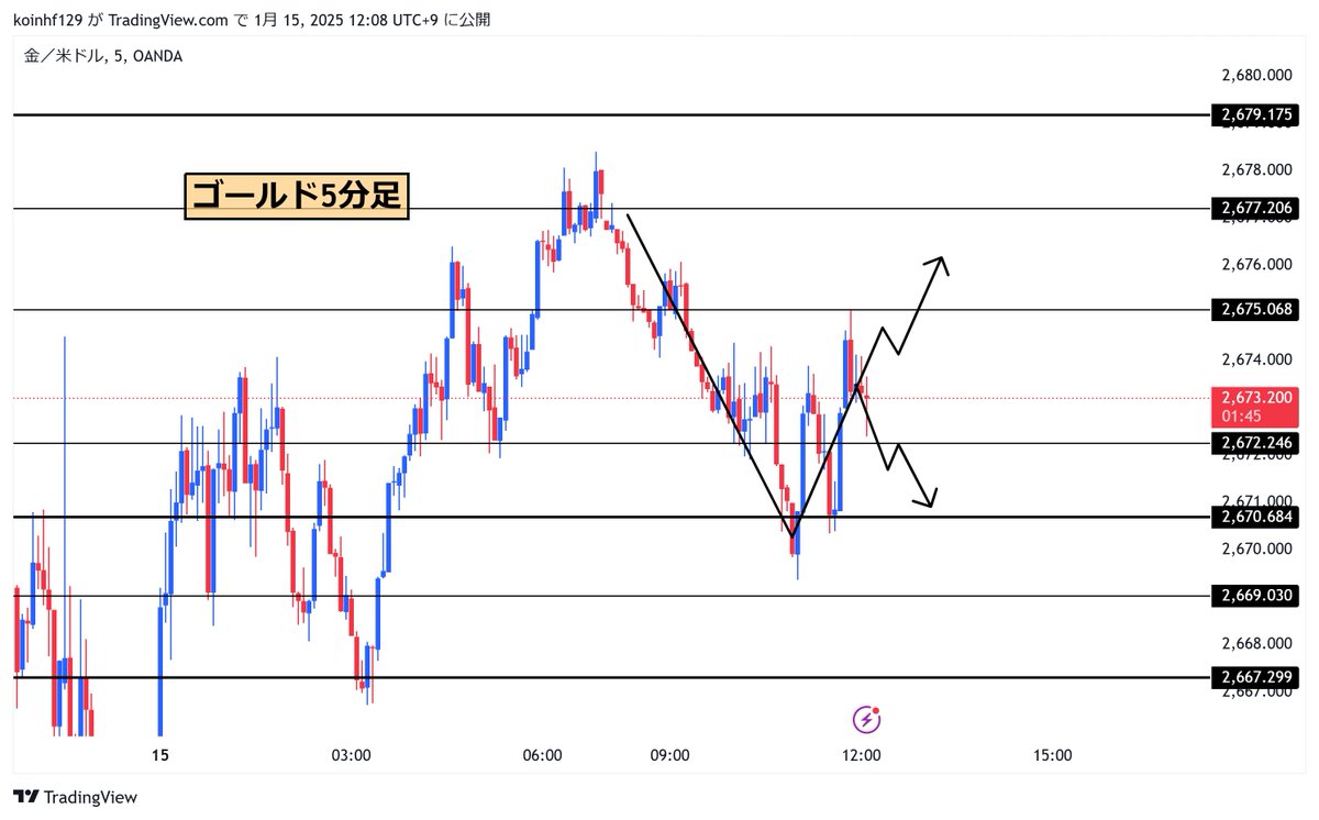 【ゴールド(#XAUUSD)先出し配信】

・2675.0上抜けロング
・2262.2下抜けショート

今夜に控えた米CPIは
相場への影響もトップクラス

焦らず私とともに
確実に勝ちに行きましょう

「イイネ+リプ」した方のみ
さらに細かい先出し公開するので

勝ちたい人は必ず反応するように。

#Bitcoin 政府検討