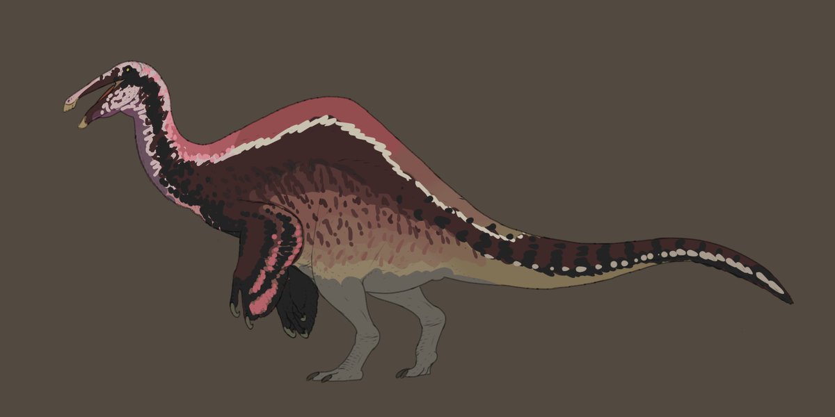 Deinocheirus.