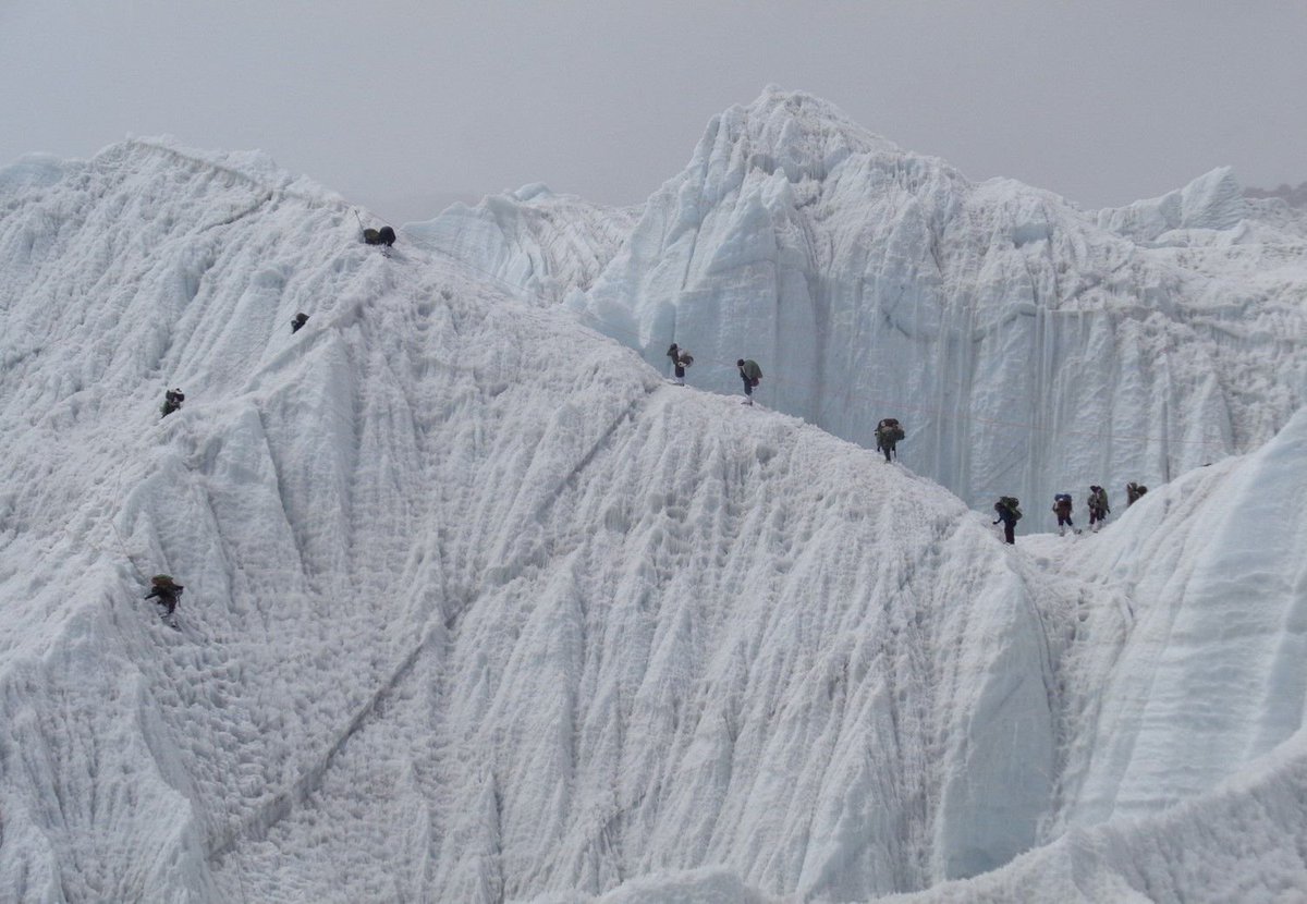 Narendra Modi tweet media
