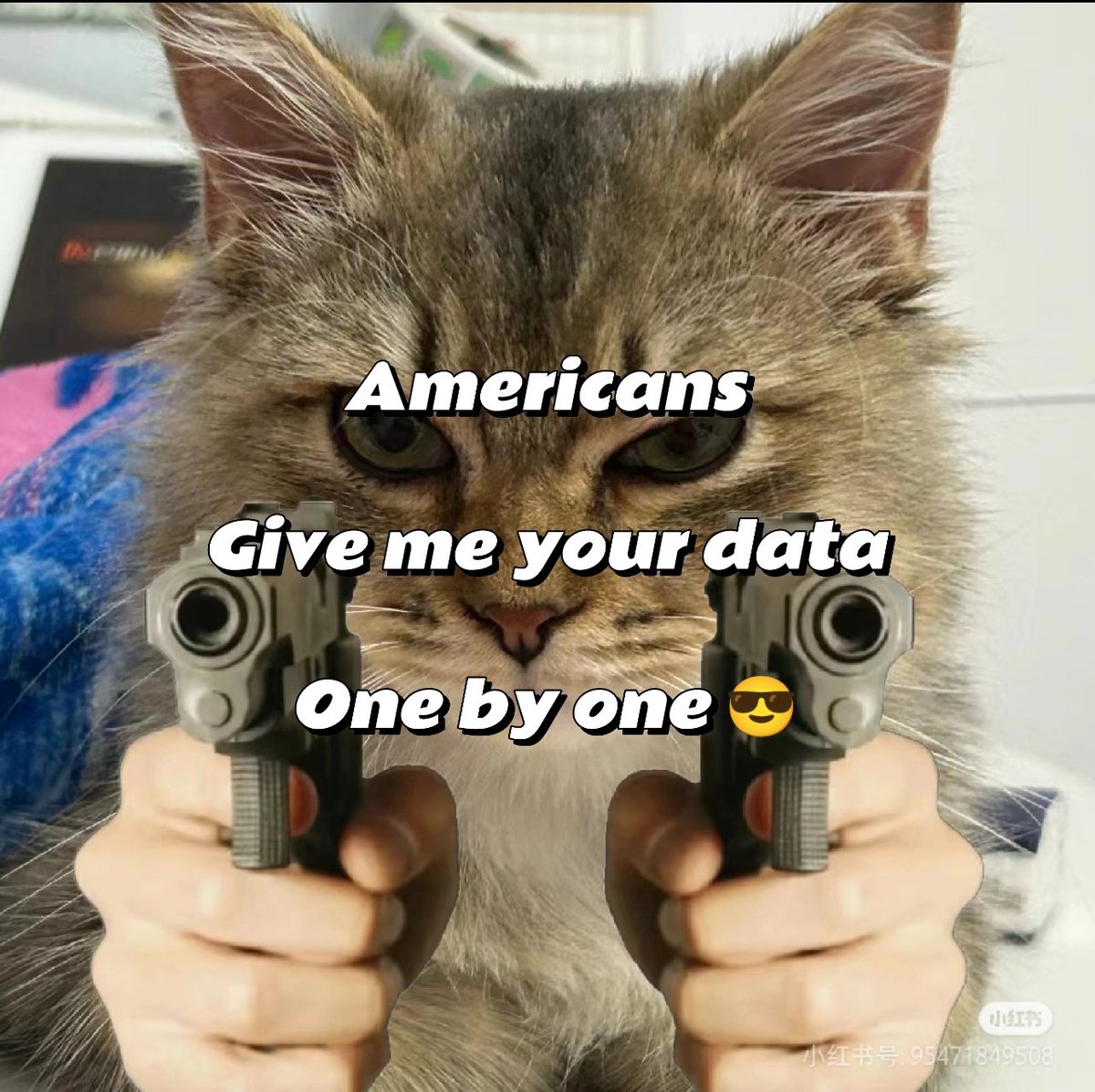 memegmy's tweet photo. @cb_doge Give me your data! ! !

$GMYD

ca: 4rHijsotNbLDLLaLXdvNoJ58Kwz4K6oKXUM8kgV3pump

The American people will never give up freedom of speech.

#tiktokrefugees #RedNote https://t.co/A9aHl6Cvrf