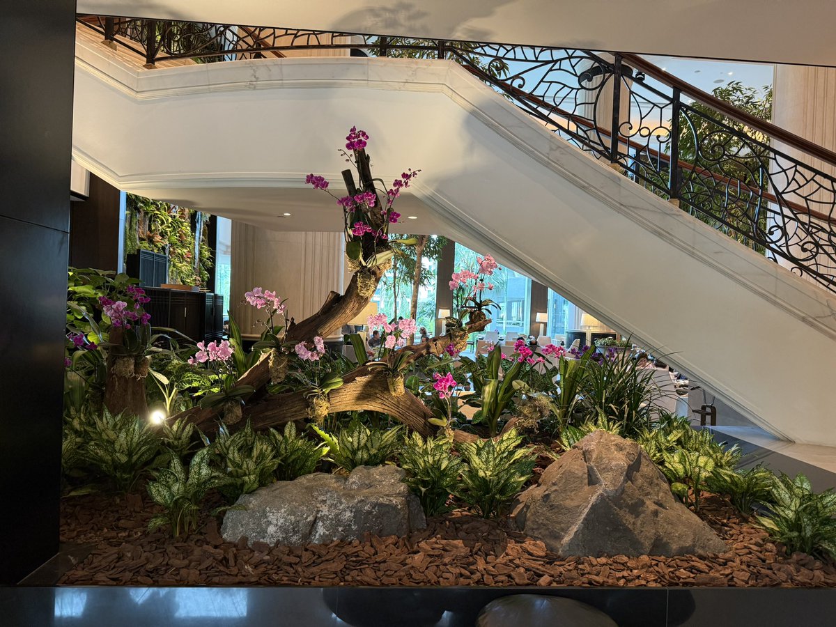 Ning Hui See tweet media