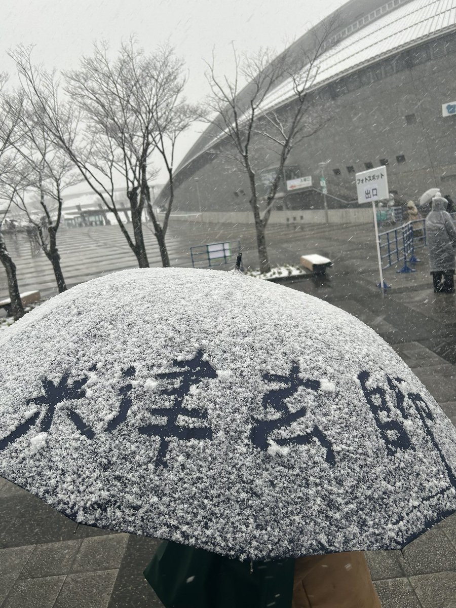 ぜちらー🌾 tweet media