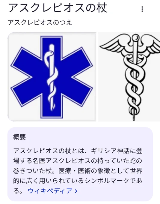 歩行のリハビリに杖が欲しいと言われて検索してたらサジェストに「医療 杖 蛇」が出てきてやっぱみんなカッコいいやつ欲しいよねと思ったけど違うわ。