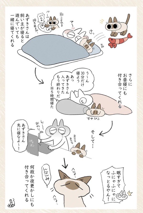 ヘニョヘニョな再掲 #シャム猫あずきさんは世界の中心 