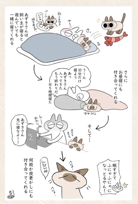 ヘニョヘニョな再掲 #シャム猫あずきさんは世界の中心 