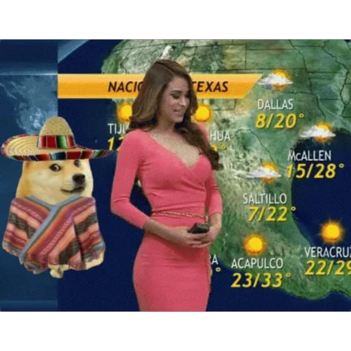 Heavy Chance of Sending $DONCHO