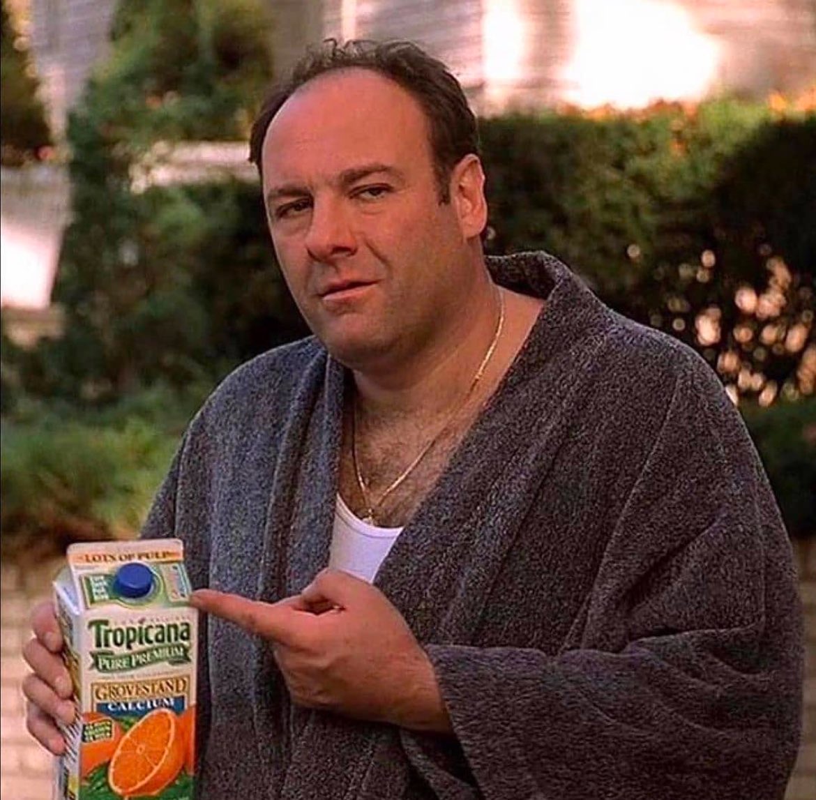 SopranosWorld's tweet photo. Having an attitude because I’m tired of repeating myself https://t.co/UTSCIkLjtt