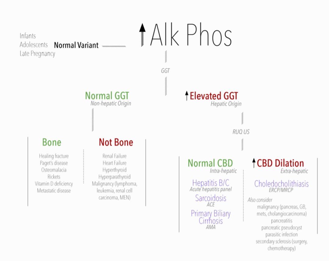 drsthanus's tweet photo. Alkaline Phosphatase

Alkaline phosphatase is responsible for transferring metabolites across cell membranes, and is found in all tissues of the body. https://t.co/n6Sbbl9g6D