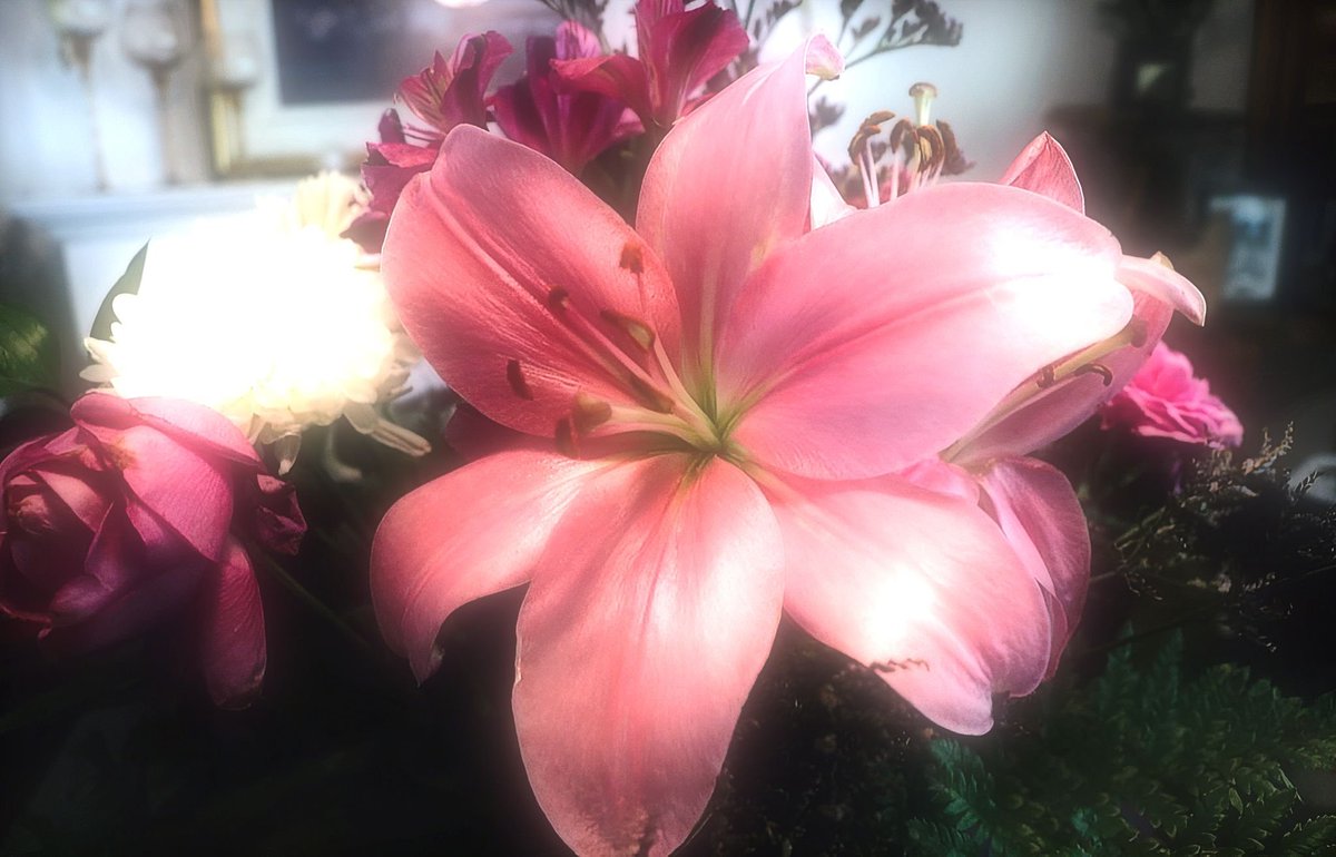 artindetails's tweet image. lilies