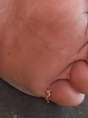 Loganmasterking's tweet photo. There you are, you tiny little loser trapped at my feet just the way it should be.
 @bisexcasmx @morrochacal @slave_here @Jimmieguy_69 @rt_feet @MASTER_UPDATES @BestFootMasters @CascioMaster @FindomAlph  @piesmasculinosf  @RTslavemaster @switchzak5ft7  @Ladsrack @HiPoolio1234 https://t.co/oatFUlj0JR