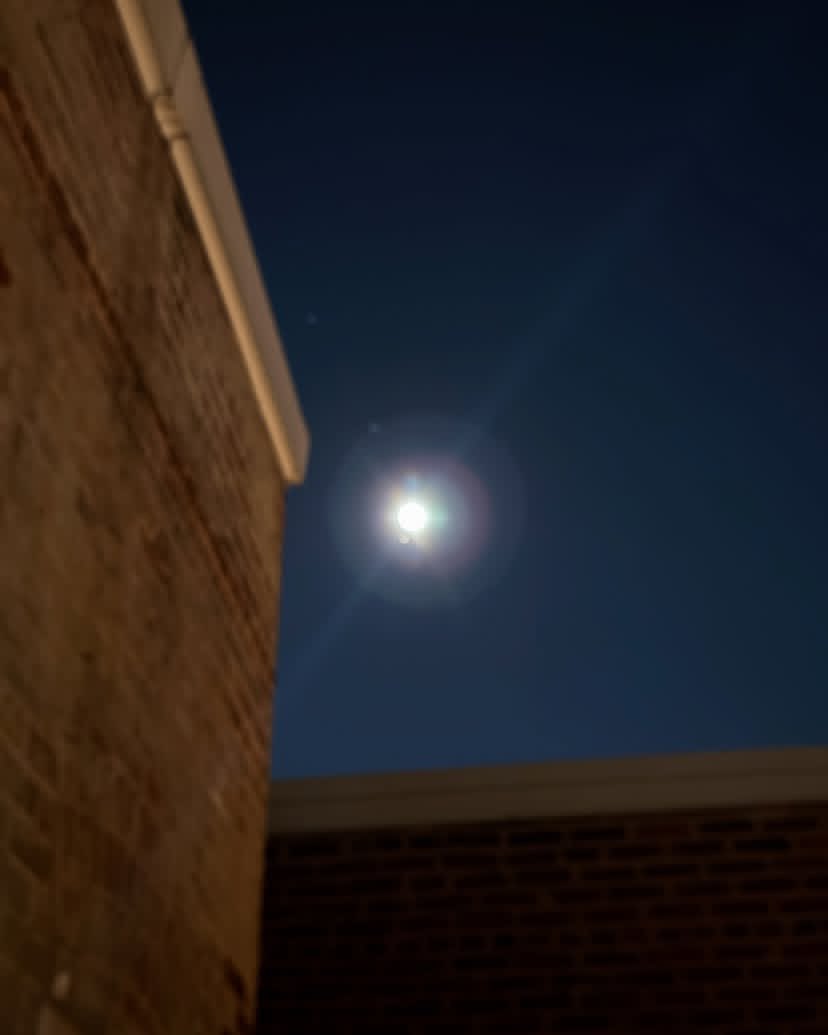 leadchris2's tweet image. The wolf moon