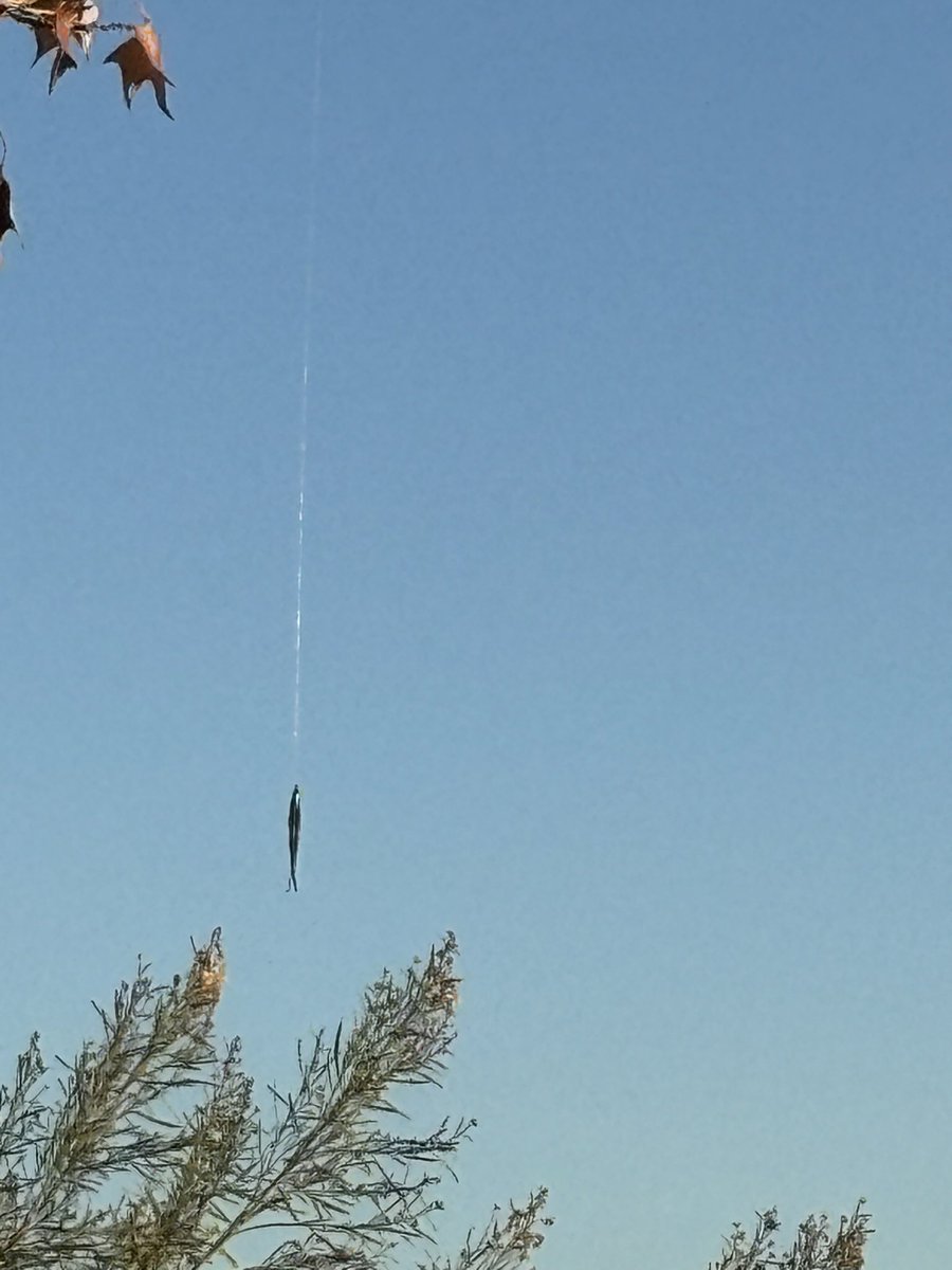 Saw a piece of fishing line with some bait hanging off of it yesterday. What’s the over/under on how many minnows you’d need for it to be stinky. I think maybe a dozen