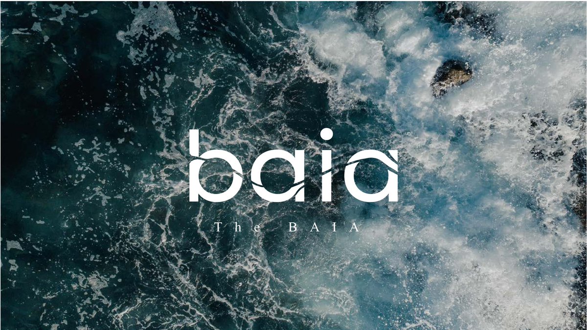 Baia- تصميم لوقو موقع وتطبيق لحجز شاليهات 🌊