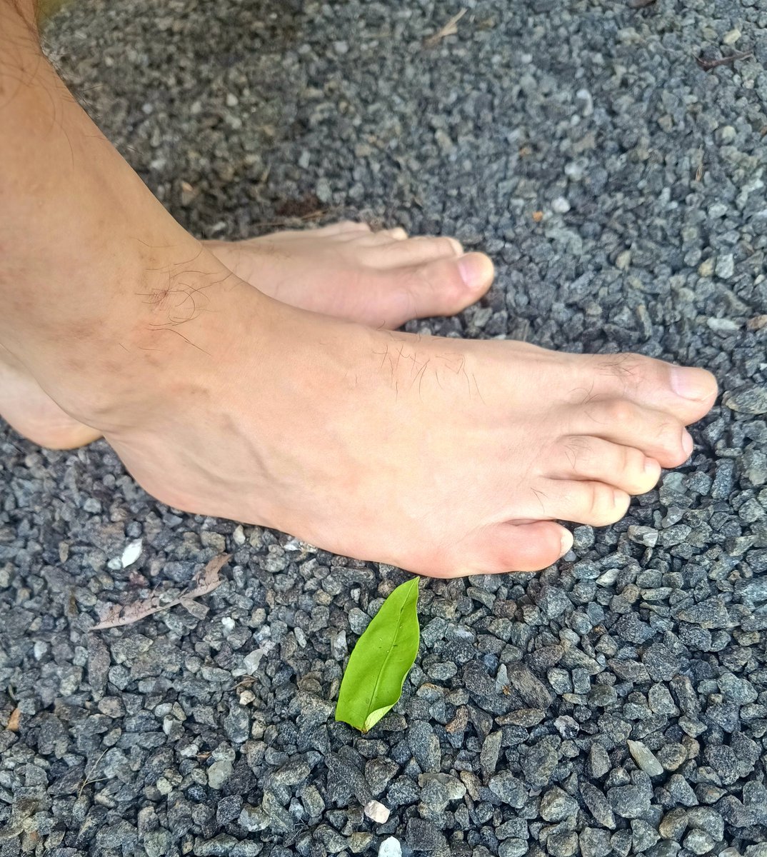 absoleutist's tweet photo. Nature's foot massage 👣🌿🪨
#gayfeet #FootLovers #FootModel #footworshi̇p #barefoot #footfetish #soles https://t.co/5eFonHz6ke