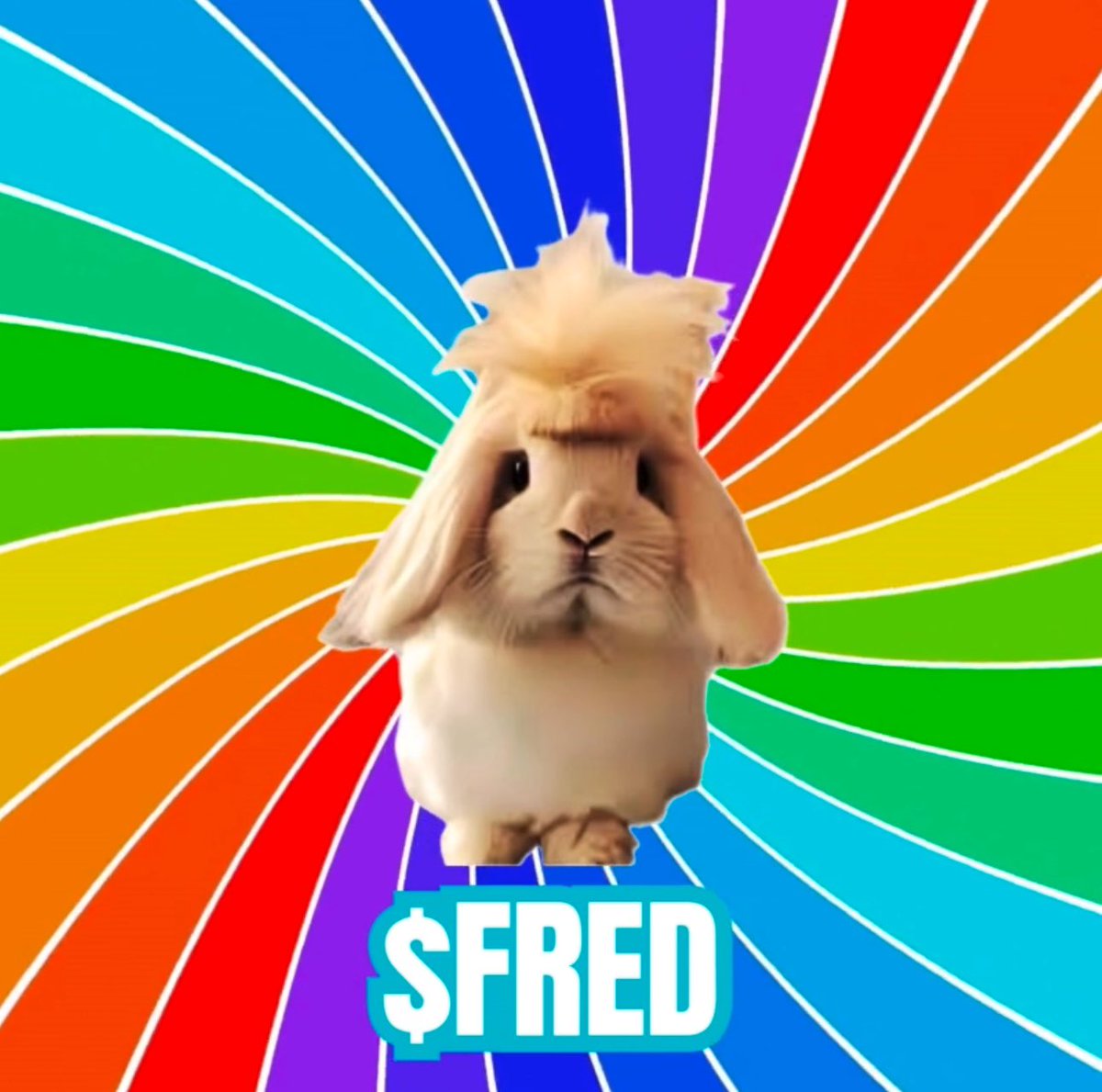 DagestanCryptoz tweet media