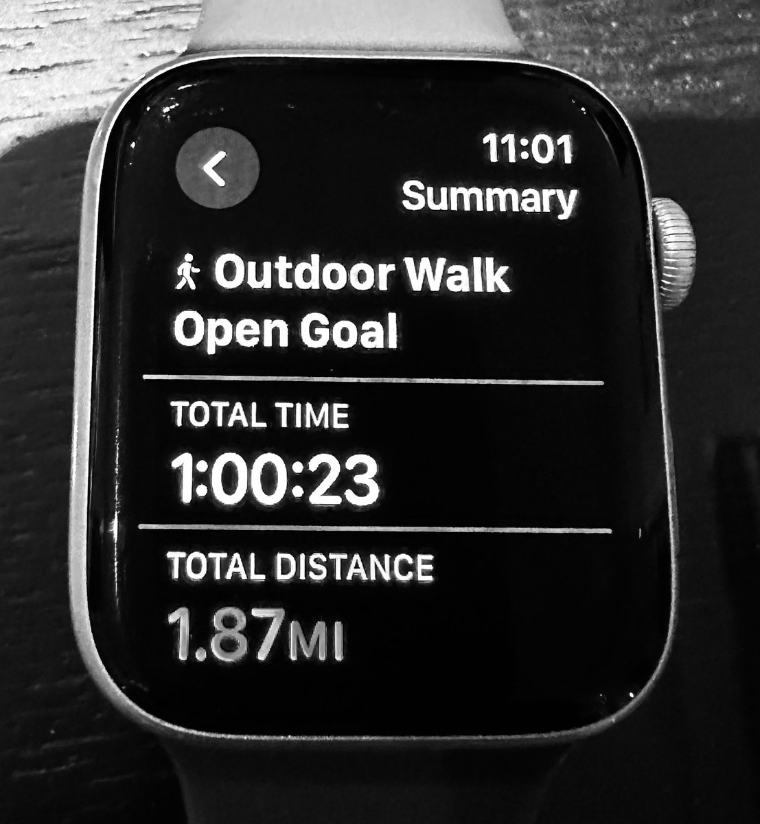 MartinaCurtin's tweet image. Day 14 #100daysofwalking 
Closed out a busy NYC day with Wicked - Broadway at its best!
#Wicked
#BroadwayShow
#NYCAdventures
#walkingfamily
@NewstalkFM @NTBreakfast @mnamheiricea @broadwaycom