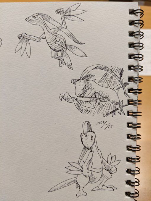 ジュプトル 3DSリメイクでミズゴロウ選んだけど、ライバルのジュプトルに苦戦したなあ カキカキ。 