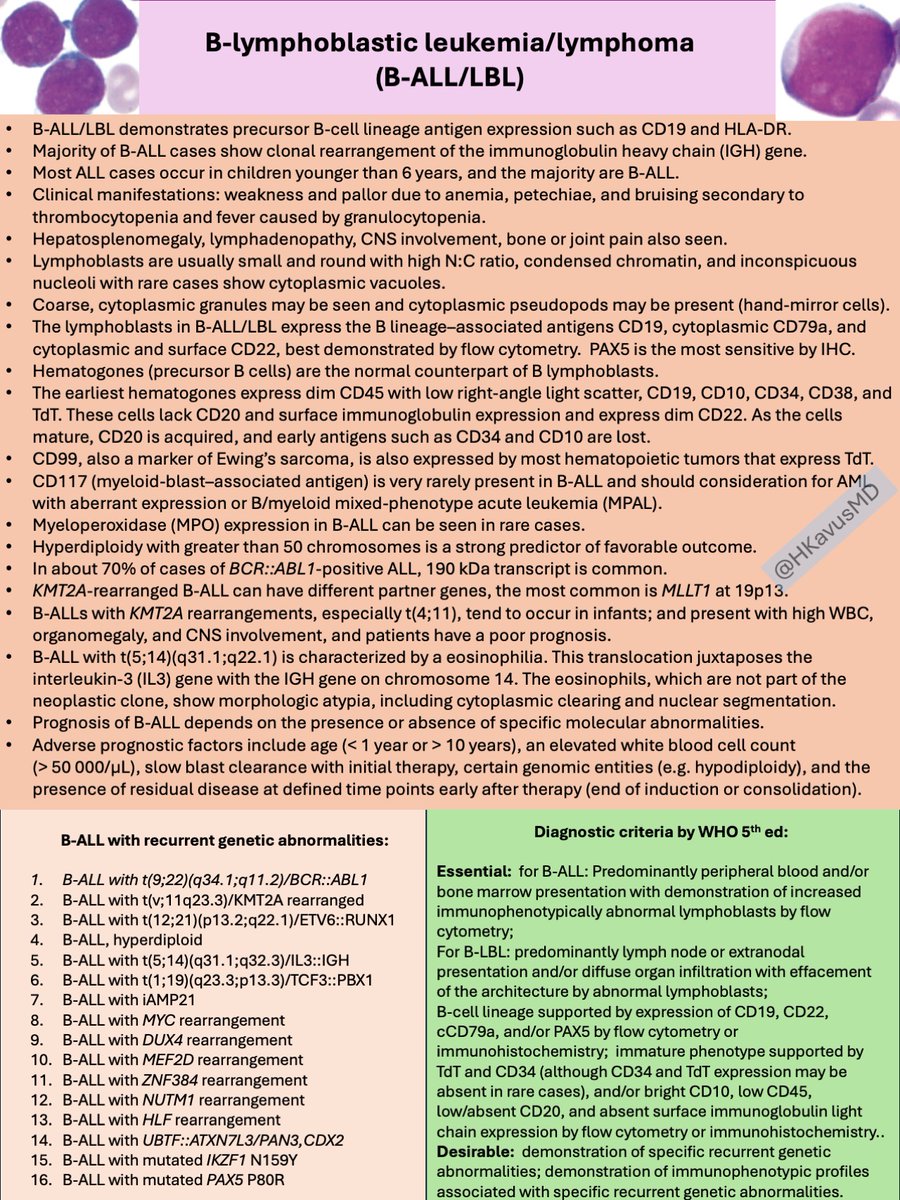 I’ve compiled the key aspects of B-lymphoblastic leukemia/lymphoma (B-ALL/LBL) into a single sheet. I hope you find it informative and useful! #Hemepath #Pathology #leusm