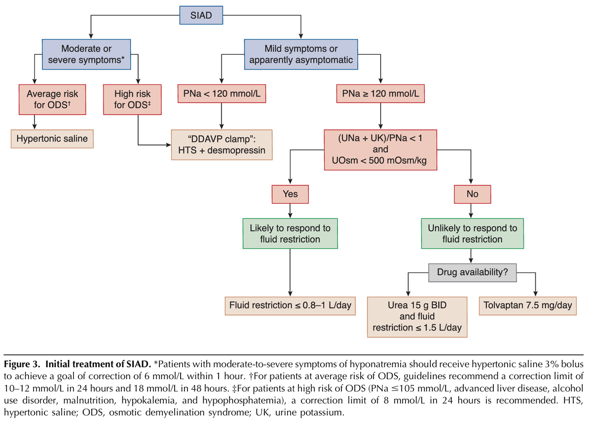 edgarvlermamd's tweet photo. SIAD: Treatment ca. 2024 from @JASN_News 
#Nephpearls

👉 https://t.co/56H0fMQLe2 https://t.co/N9gOZGI8rm