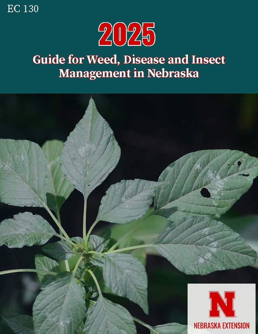 Amit Jhala (@amitunl) on Twitter photo 2025 Guide for Weed, Disease, and Insect Management in Nebraska is available to purchase ($35) at marketplace.unl.edu/extension/ec13…
A PDF is also available to download.
<a href="/UNL_CropWatch/">Nebraska CropWatch</a>
<a href="/MarthaMamo3/">Dr. Martha Mamo</a>
<a href="/unlagrohort/">Nebraska Agronomy and Horticulture</a>
<a href="/UNLExtension/">Nebraska Extension</a>
<a href="/ChasStoltenow/">Charlie Stoltenow</a>
<a href="/jenreesources/">Jenny (Rees) Brhel</a>
<a href="/BobWrightUNL/">Robert Wright</a>
<a href="/justinmcmechan/">Justin McMechan</a> 2025 Guide for Weed, Disease, and Insect Management in Nebraska is available to purchase ($35) at marketplace.unl.edu/extension/ec13…
A PDF is also available to download.
<a href="/UNL_CropWatch/">Nebraska CropWatch</a>
<a href="/MarthaMamo3/">Dr. Martha Mamo</a>
<a href="/unlagrohort/">Nebraska Agronomy and Horticulture</a>
<a href="/UNLExtension/">Nebraska Extension</a>
<a href="/ChasStoltenow/">Charlie Stoltenow</a>
<a href="/jenreesources/">Jenny (Rees) Brhel</a>
<a href="/BobWrightUNL/">Robert Wright</a>
<a href="/justinmcmechan/">Justin McMechan</a>
