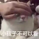 放假真好 可以一直刷X