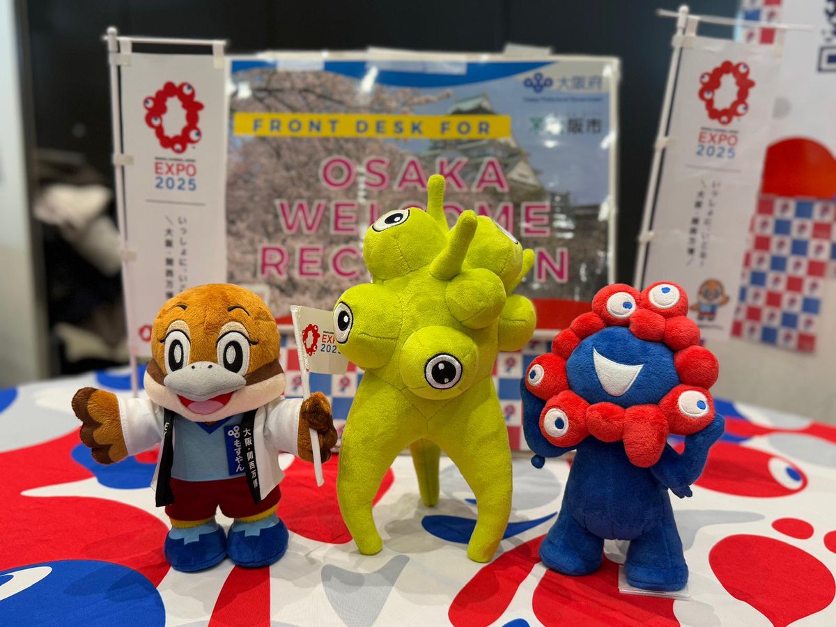 THE MASCOT RENÉ ぬいぐるみ AMADEUS STORY(DallmayrJapan) on X: 