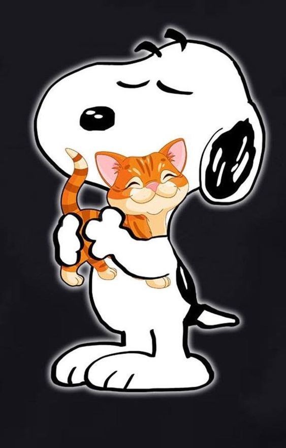 Mar121298's tweet photo. Hasta mañana bebés, que suñen bonito. Descansen 🫂
#NorrisFest https://t.co/fe1I5S5Uaa
