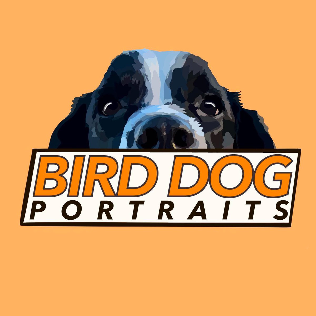 bauermill's tweet photo. Follow Bird Dog Portraits on Instagram! 

Give birddogportraits a follow on IG! https://t.co/n7LikydsFX