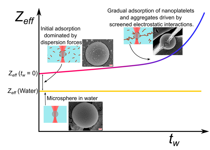 Vaibhav Parmar (@vaibhavparmar42) on Twitter photo Excited to share the latest work from the RheoDLS lab (<a href="/RanjiniRRI/">Ranjini Bandyopadhyay</a>) in <a href="/softmatter/">Soft Matter</a>! Using optical tweezer electrophoresis, we explored clay nanoplatelet adsorption on latex microspheres and gained new insights into colloidal stabilization.
pubs.rsc.org/en/Content/Art… Excited to share the latest work from the RheoDLS lab (<a href="/RanjiniRRI/">Ranjini Bandyopadhyay</a>) in <a href="/softmatter/">Soft Matter</a>! Using optical tweezer electrophoresis, we explored clay nanoplatelet adsorption on latex microspheres and gained new insights into colloidal stabilization.
pubs.rsc.org/en/Content/Art…