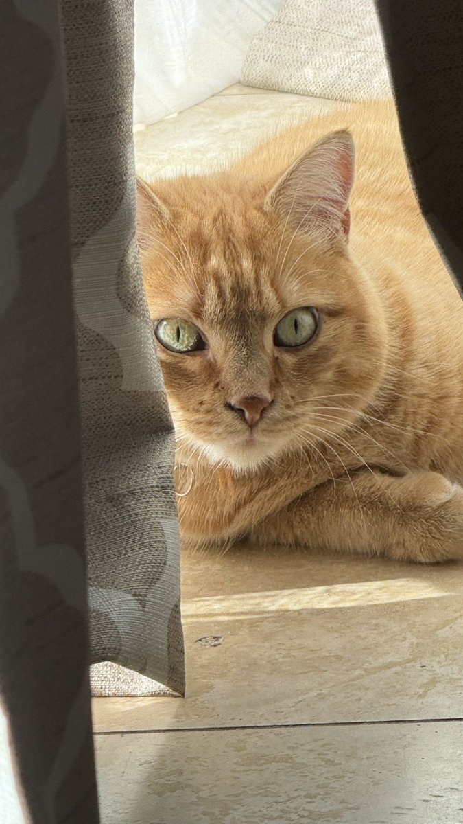 whom is the cutest refugee of the fires??