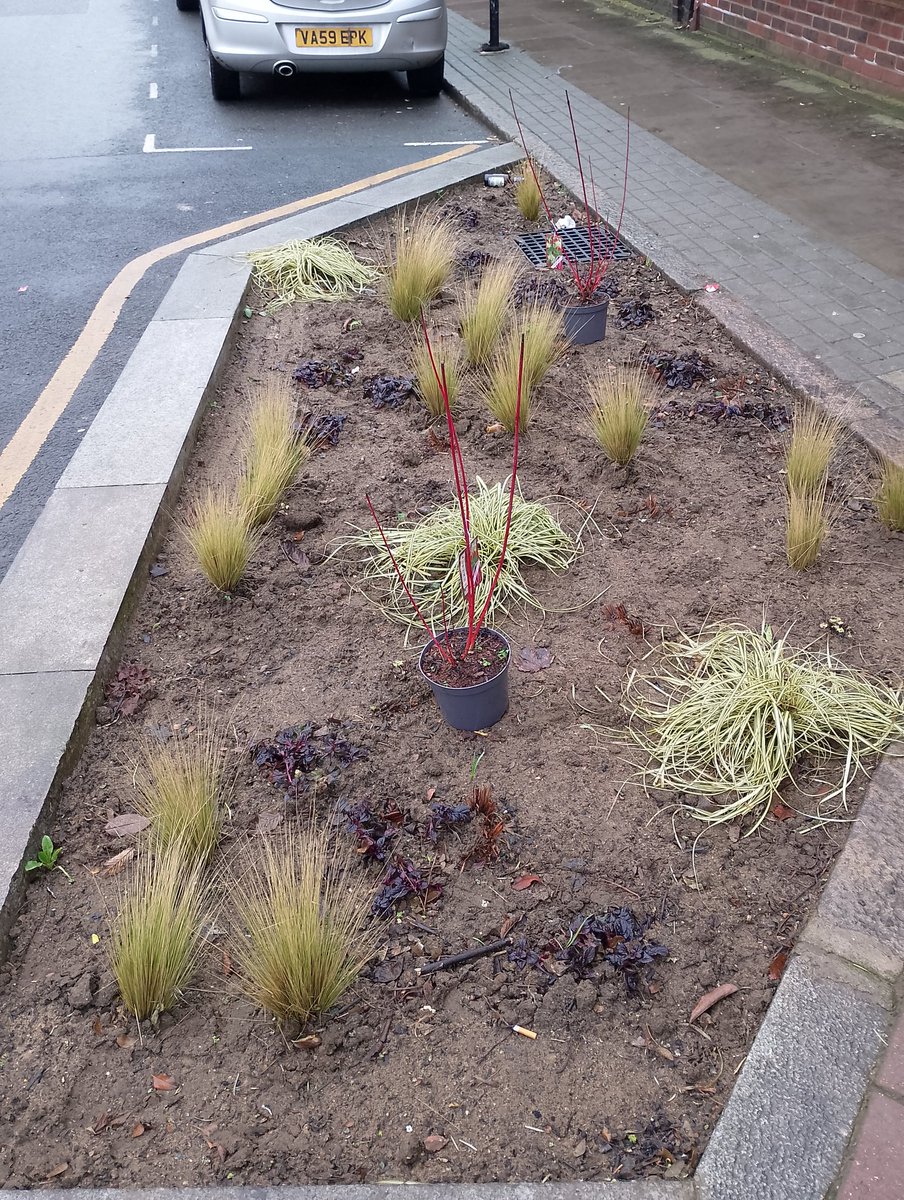 Good to see planting in the rain gardens on #chestnutgrove - in spring we should see all the soil covered!