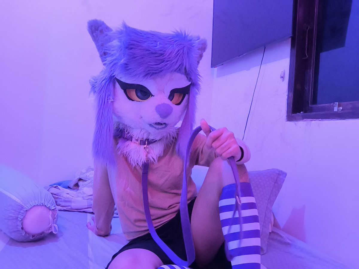 Ruithefox's tweet image. You think you can handle me~?