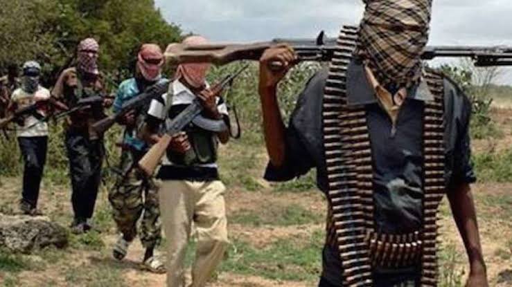 Dozens killed as terrorists attack community in Borno lakechadtimes.ng/web/2025/01/do…