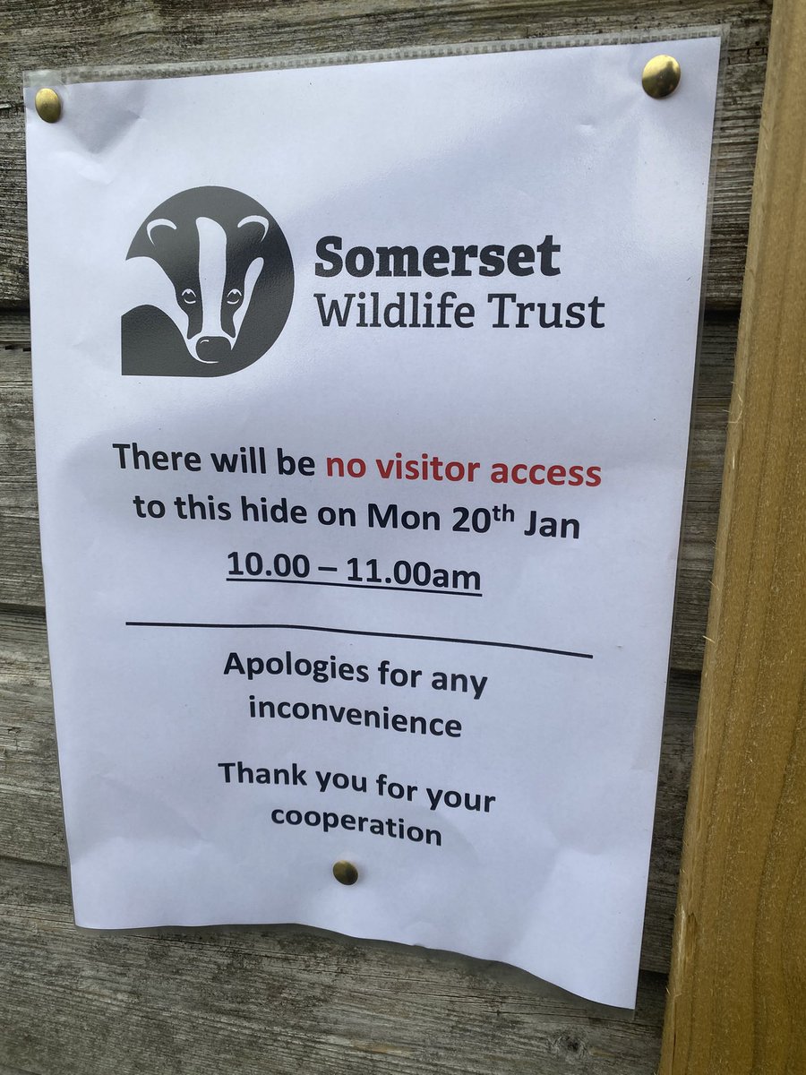 Avalon Marshes (@avalonmarshes) on Twitter photo Please note main hide at Catcott will be closed for an hour on Monday morning… <a href="/somersetbirds/">Somerset Birds</a> Please note main hide at Catcott will be closed for an hour on Monday morning… <a href="/somersetbirds/">Somerset Birds</a>