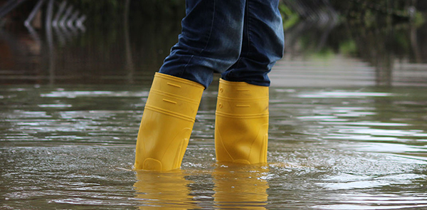 💧 Don't wait for the rain! 

Get practical advice to protect your home from flooding by visiting kingston.gov.uk/flood-ready.

#SaferKingston #FloodReady🌊