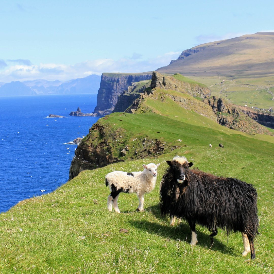 GoExploreScot's tweet image. Ready for a summer full of exploration? ☀️ Whether it’s coastal drives or discovering hidden gems, book your motorhome adventure early and make summer 2025 one for the album! 🏞️