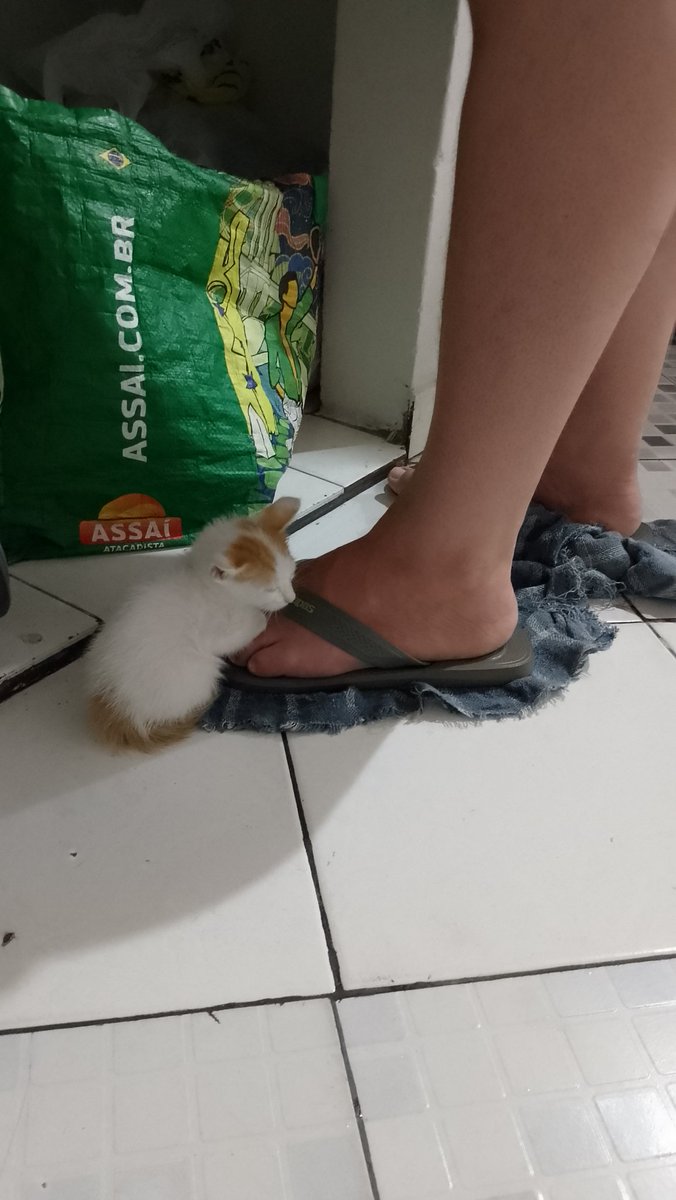 baladeicekis's tweet photo. Ela desesperada e ela no pé da mãe https://t.co/drC70l5L8K