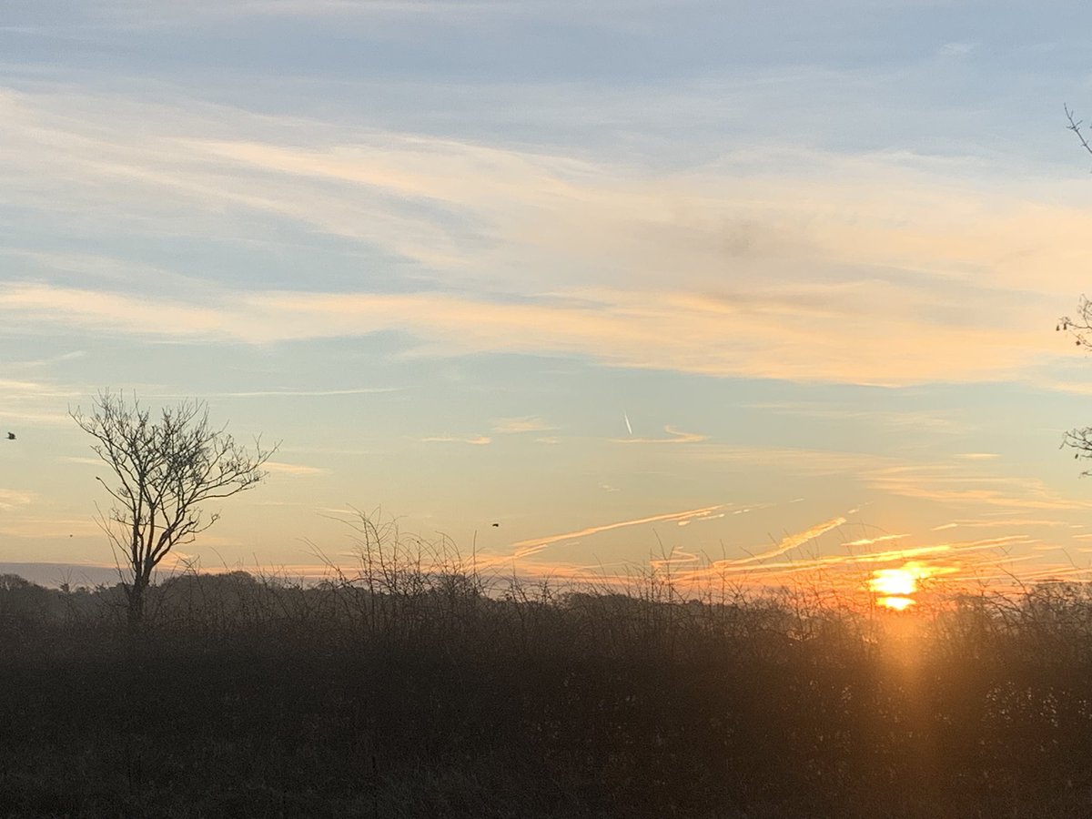 BPSIYork's tweet image. Over half my X chums have migrated to Bluesky, so now it is time for me to follow - social media without the social is awkward. If you wish to engage with more pics of the sun, running exploits, and #biophysics, follow me on @bpsiyork.bsky.social @PhysicsofLifeUK @BioPhysicsUK