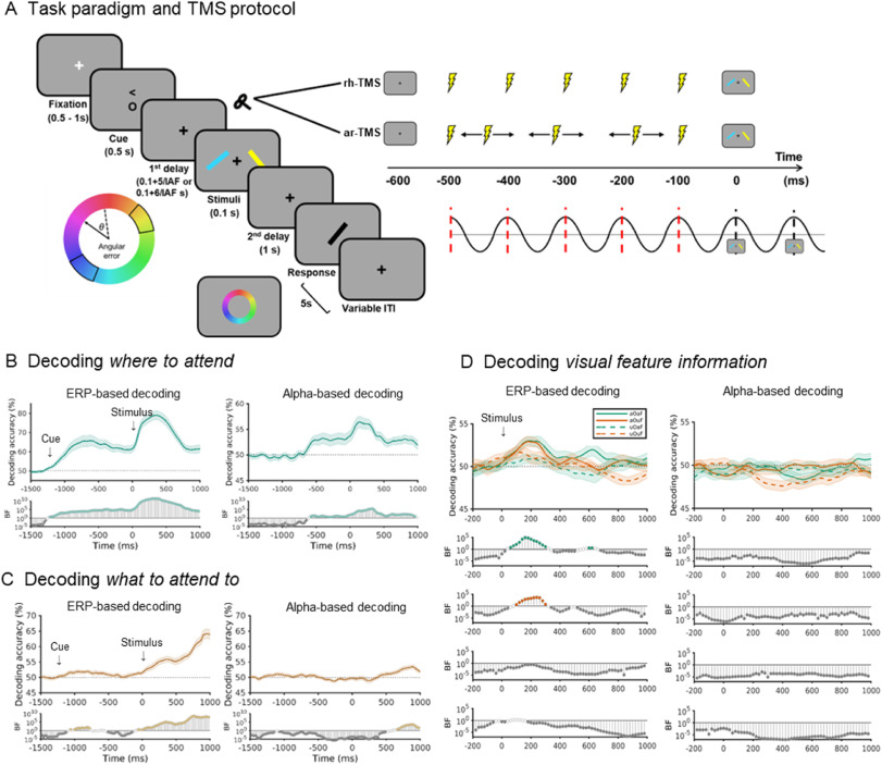 MRC Cognition and Brain Sciences Unit (@mrccbu) on Twitter photo New paper alert! Runhao Lu (@runhao_lu) and colleagues <a href="/brainstimj/">Brain Stimulation</a> show alpha rTMS boosts decoding of where to attend during selective attention, using cutting-edge TMS-EEG. No effects on what to attend or feature info. Fascinating insights: doi.org/10.1016/j.brs.… New paper alert! Runhao Lu (@runhao_lu) and colleagues <a href="/brainstimj/">Brain Stimulation</a> show alpha rTMS boosts decoding of where to attend during selective attention, using cutting-edge TMS-EEG. No effects on what to attend or feature info. Fascinating insights: doi.org/10.1016/j.brs.…