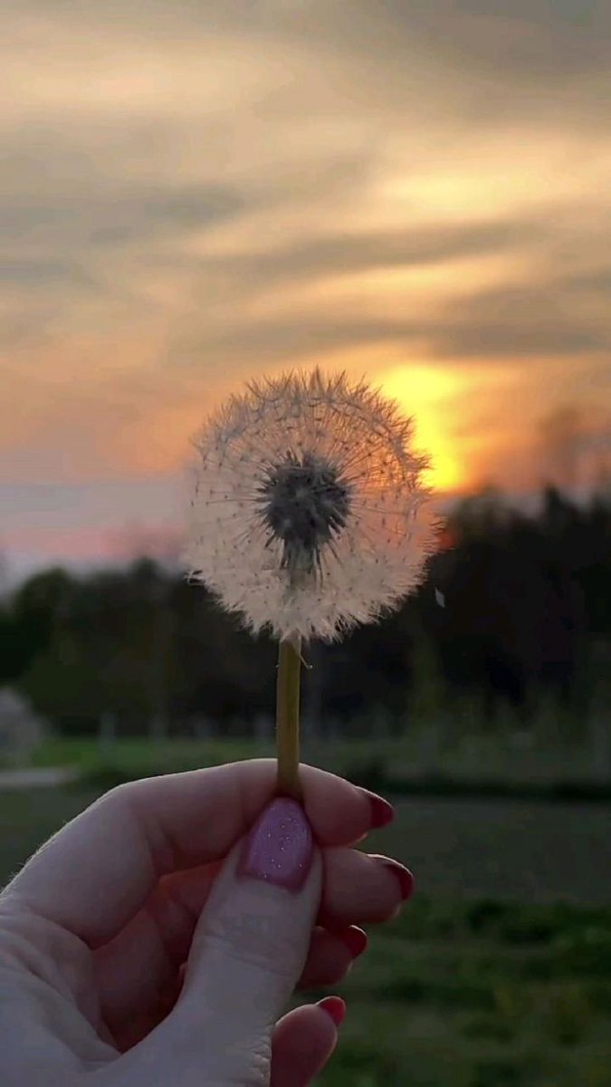Tahniyatmehdi14's tweet photo. 📎Capturing Easthetic Views 📸☄️
#naturelovers #photooftheday #RandomPhotos #Easthetic https://t.co/ojNQRWIz6M